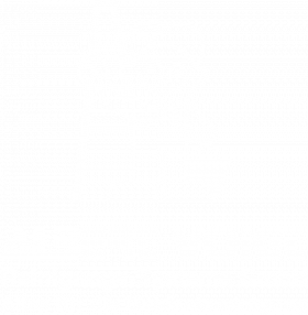 Albert Voigt Reinigungs-Systeme GmbH